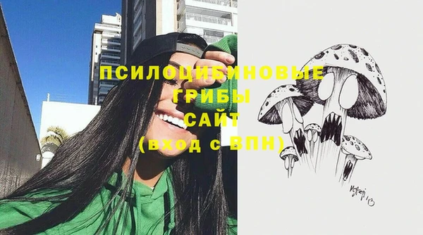 прущие грибы Володарск